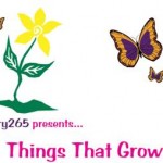 Things That Grow Exhibition