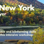 Explore New York with Ted Sawyer