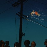 Exhibition: "Not Really": Fictive Narratives in Contemporary Art