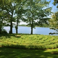 Labyrinth Monthly Walks at Wainwright House