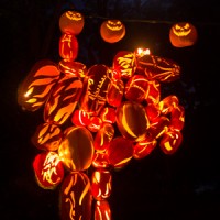 The Great Jack O'Lantern Blaze