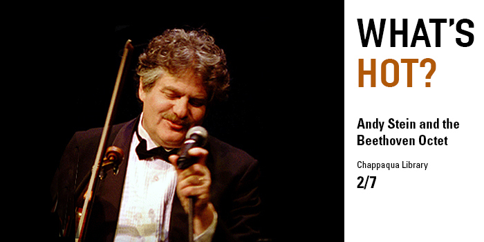 Andy Stein and the Beethoven Octet