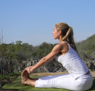 Yoga for a Pain Free Body & Stress Free Mind