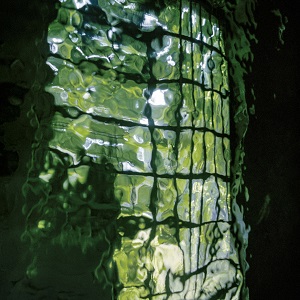 Transient, Green Window by Susan Richman