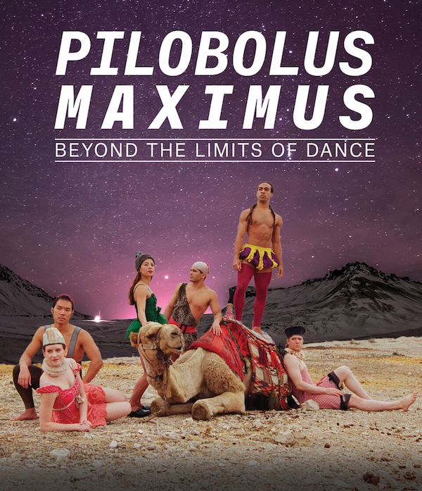 Pilobolus Maximus – Beyond The Limits Of Dance