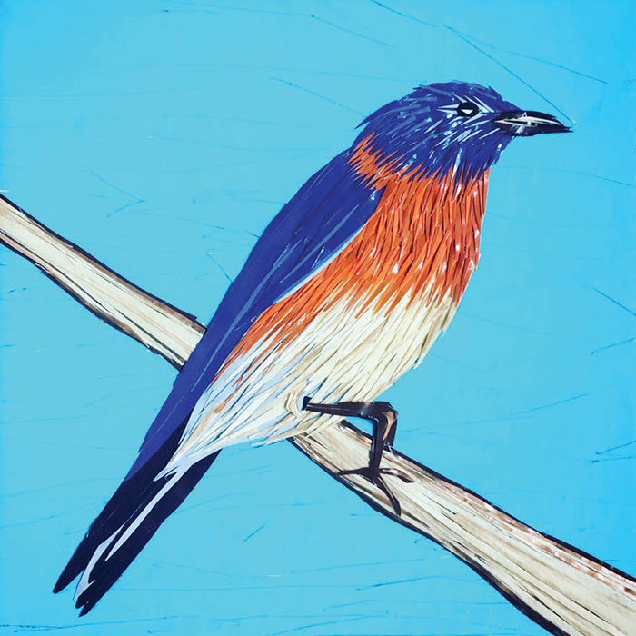 Teen/Adult Workshop: Duct Tape Collage: Birds