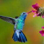 Photographs by Kenton Gomez at the Harrison Public Library