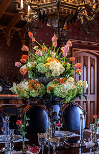 Lyndhurst's Spring Blossoms Flower Show