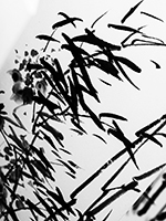 Asian Brush Painting Workshop