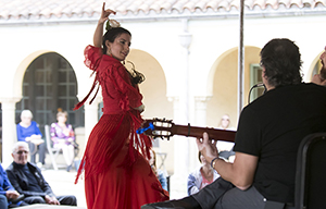 Flamenco in the Courtyard