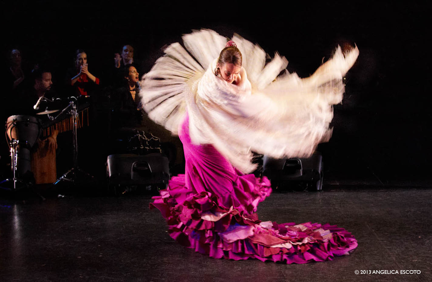 LIVE FLAMENCO PERFORMANCE: A Palo Seco Flamenco Company