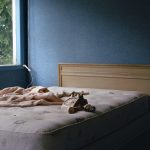 THE BORSCHT BELT: MARISA SCHEINFELD