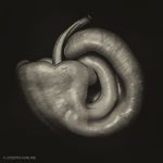 Ground Glass Photography Exhibit - "Pepper No. 30 Revisited"