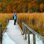 In the Gallery: The Northern Westchester Camera Club