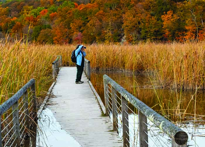 Gallery Reception: The Northern Westchester Camera Club