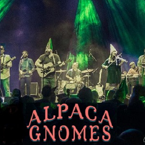 The Alpaca Gnomes for Summer Nights on the Sound