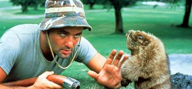 Caddyshack Screening + Q&A with Comedy Legend and Film Star Chevy Chase, Jan. 24, 7:30pm + Pre / After-Party