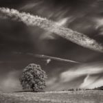 Photography by Dennis Dilmaghani