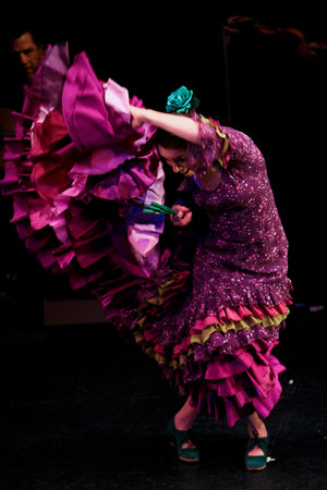 ¡Viva Flamenco! Online Family Friendly Workshops with Rebeca Tomás