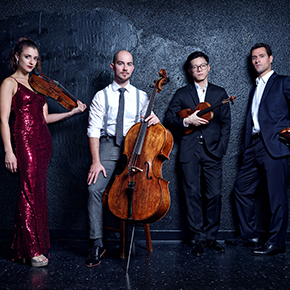 Virtual Screening | Strings Attached: On the Road with the Dover Quartet