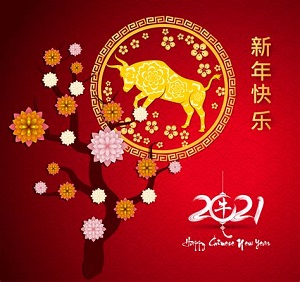 Chinese New Year Virtual Celebration!