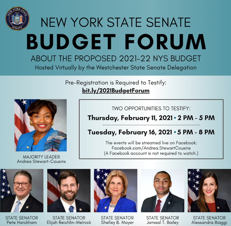 New York State Senate Budget Forum