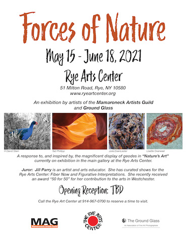 Forces of Nature: Talk & Walk Event with the Artists of Mamaroneck Artists Guild and Ground Glass
