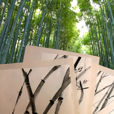 GARDENS. Sagano Bamboo Forest. Free Live Zoom Art Workshop.