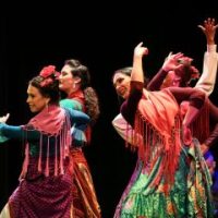 A Palo Seco Flamenco Company presents FIERAS