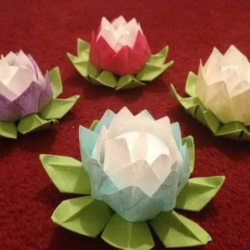 Adult Art Workshop: Lotus Flower Lantern Workshop
