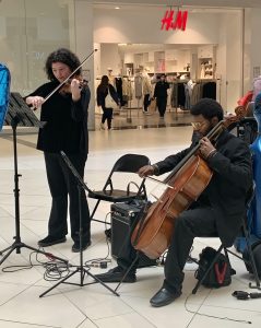 Musicians performing at the Rockland Arts Festival at the Palisades Center