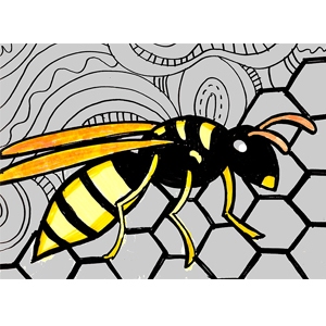 Pollinators in Action – PAPER WASP – Free ZOOM art workshop