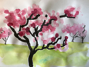POLLINATORS IN ACTION – Flowering Cherry Trees