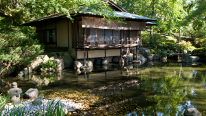 Japanese Garden Tour and Tea Ceremony Demonstration