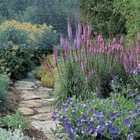 Friends and Gardeners: Christopher Lloyd and Beth Chatto