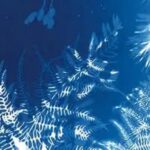 MAG: Cyanotypes w/ Bruce Dunbar