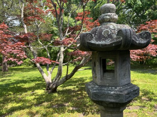 Hammond's Stroll Garden Offers Respite and Tranquility in