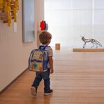 “Hike the Hudson” Backpack Activity