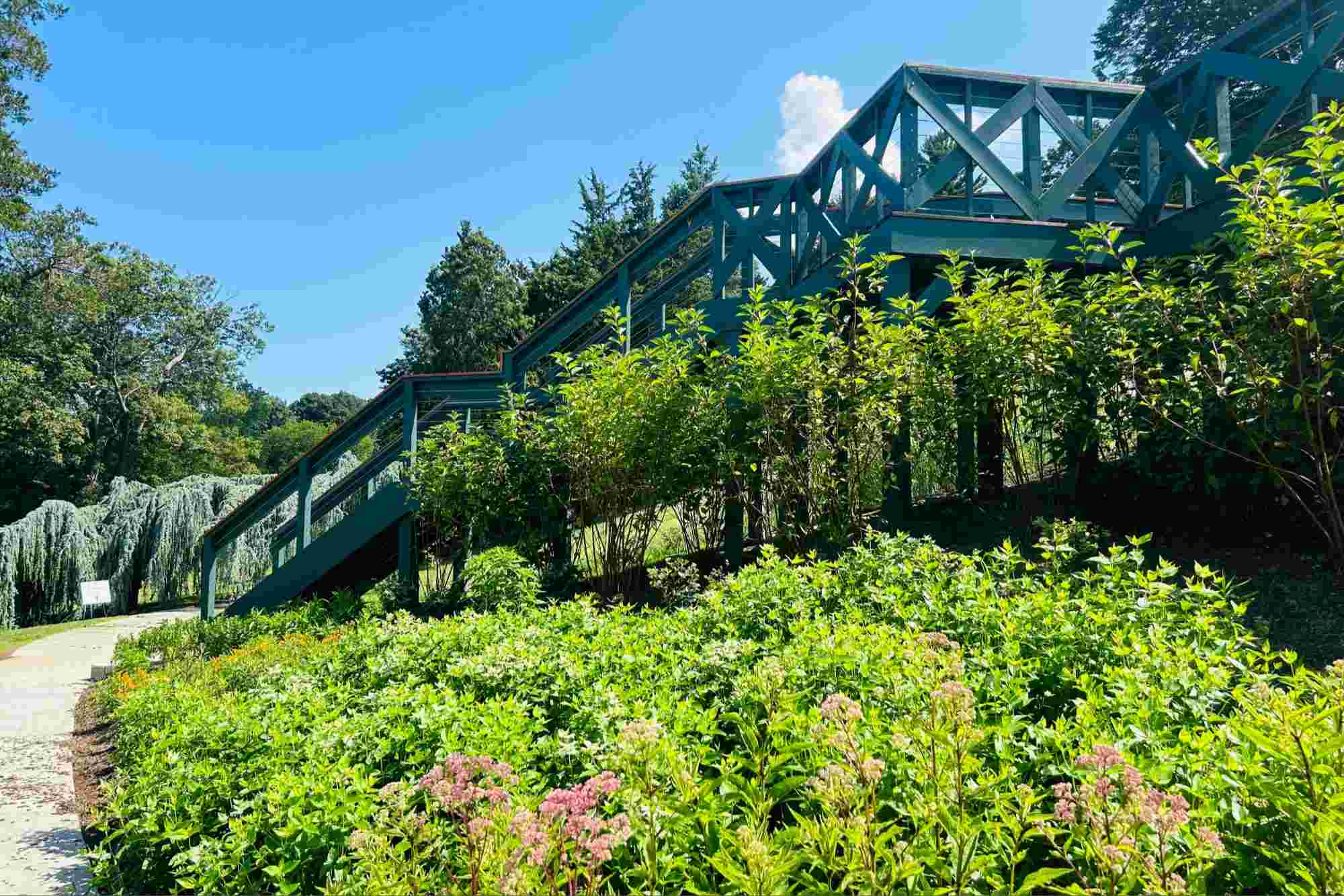 Plants & Pollinator Kids Experience