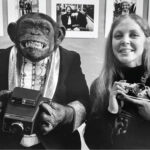 Jill Freedman Photography Exhibition: "FANG"