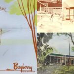 Midcentury Modern in New Rochelle: A Tour of Home Interiors