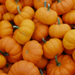 Adult Art Workshop: Decorative Paper Pumpkins