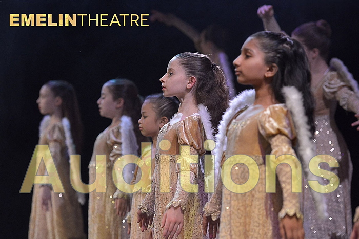 Audition for children's roles in Nutcracker Dream