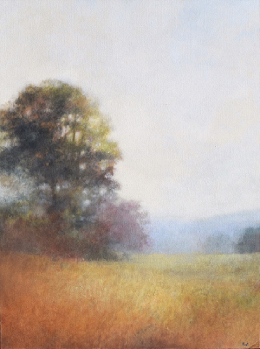 Opening Reception: Convergence