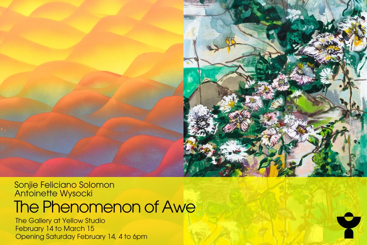 Opening Reception: The Phenomenon of Awe at The Gallery at Yellow Studio