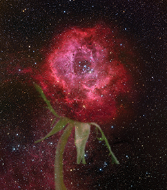 Valentine’s Day Under the Stars