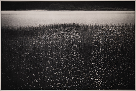 “Awestruck” An Evening with Photographer Eddie Soloway presented by The Ground Glass