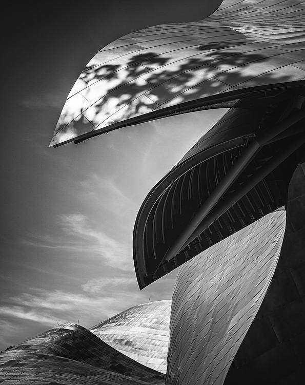 Opening Reception - The 50th Anniversary Ground Glass Photography Exhibition