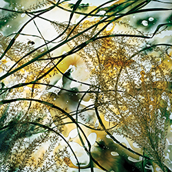 Photography Workshop for Teens: Human Imprint on the Environment