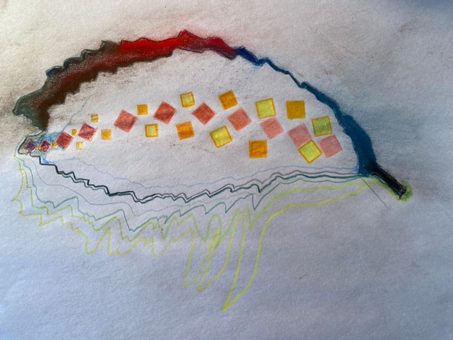 Walk on the Wild Side: An Exploratory Workshop for Families